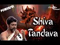 Powerful shiva tandava stotra by harshadhwani shreeharsha 