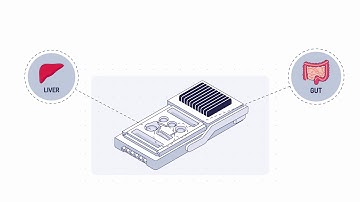 Organ-on-Chip Studies Workflow (5/6) Multi-Organ Analysis with PhysioMimix T1 from CN Bio