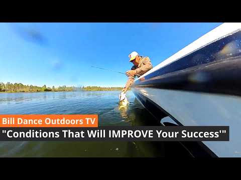 Conditions That Will IMPROVE Your Fishing Success l Dance Outdoors TV