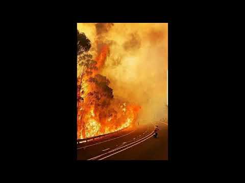 NSW Bushfires - BBC radio interview with me