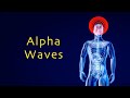 STRONG Alpha Waves for Cognitive Abilities &amp; Rapid Concentration • Binaural Beats (8hz)