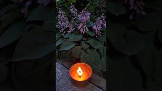 Закон притяжения. Как им пользоваться? #законпритяжения #законывселенной #путькуспеху #саморазвитие
