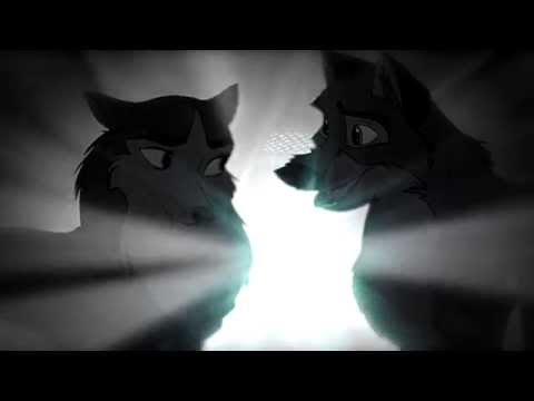 Sweet Talk Dear In The Headlights