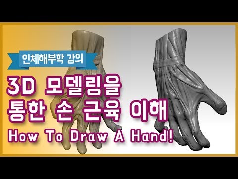 3D모델링을 통한 손 근육의 이해(How To Draw A <strong>Hand</strong>) - 오쌤인체해부학(<strong>Anatomy</strong> Teacher O)