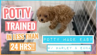 POTTY TRAINING TIPS & TECHNIQUES • How to Potty Train in Just a Day  | Harley & Euna #pottytraining