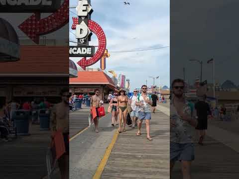 Exploring the Wildwood