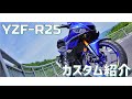 YZF-R25(2019")カスタム紹介！（納車半年）#25【YZF-R25】