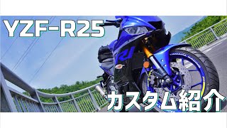 YZF-R25(2019")カスタム紹介！（納車半年）#25【YZF-R25】