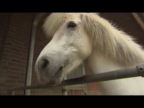 [Erstmalig] Freiwillige Feuerwehr Stapelfeld auf Alarmfahrt