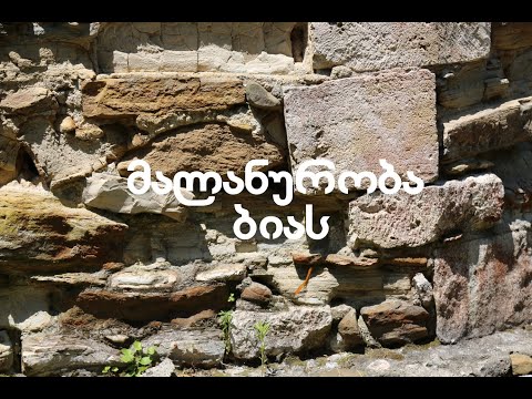 მალანურობა  ბიას მარგალურო