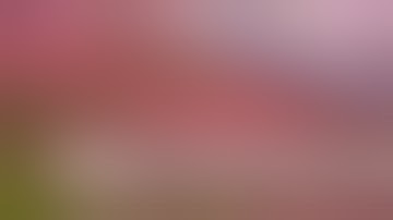 Benefits of UVA on Plants