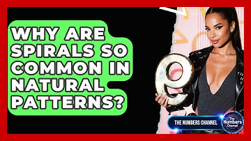 Why Are Spirals So Common In Natural Patterns? - The Numbers Channel