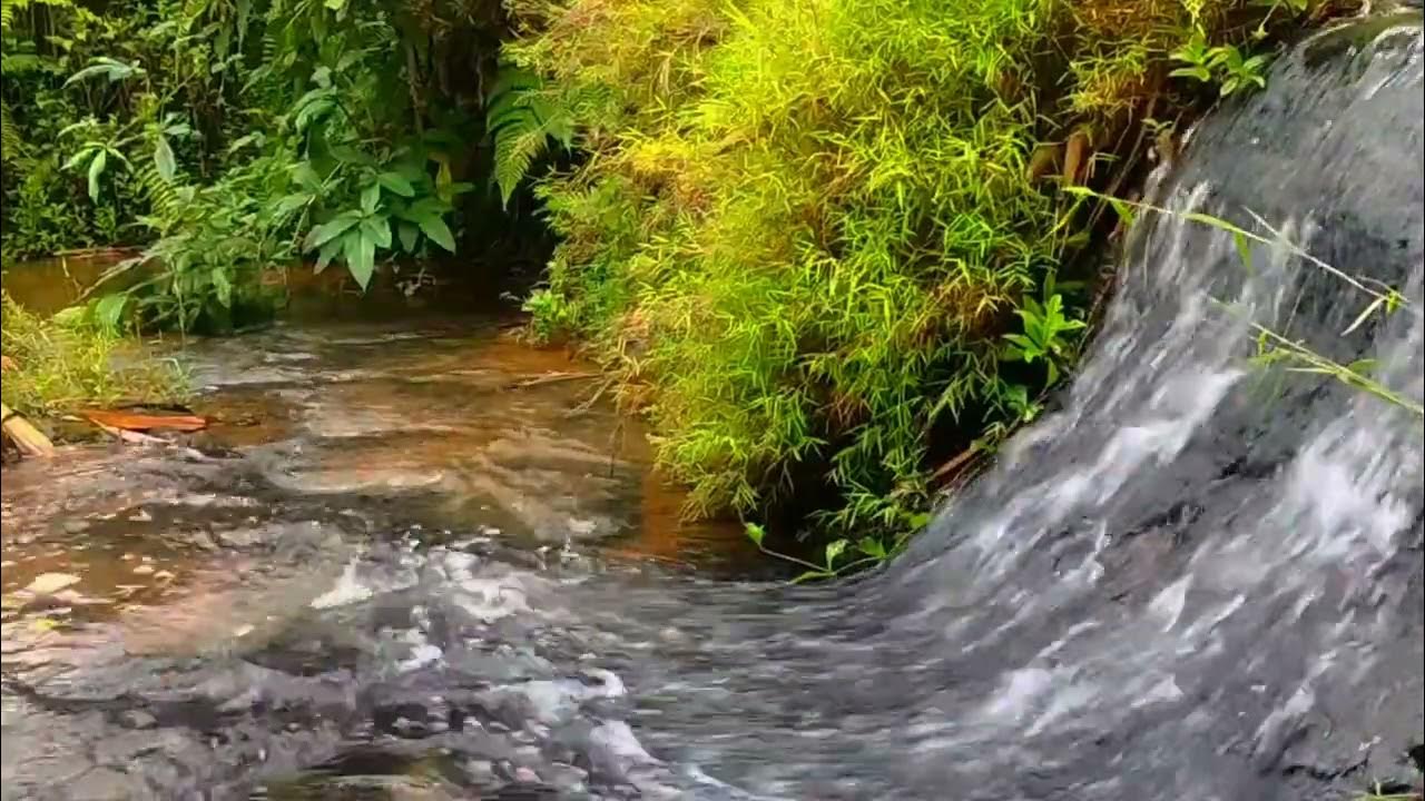 Soothing Sounds of Running Water to Calm the Weary Soul and Ease the