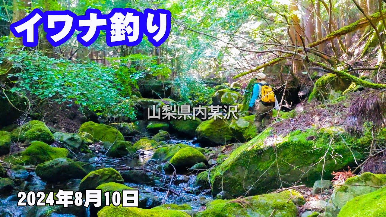 山梨の渓流へイワナ釣りに行きました 2024年8月10日 - YouTube