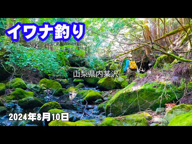 ▼ つり人 渓流フィールド 八ヶ岳 八ケ岳 ヤマメ イワナ 釣り場 釣り ④a ▽ つり人 渓流フィールド 八ヶ岳 八ケ岳 ヤマメ イワナ 釣り場