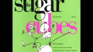 Watch Sugarcubes Sick For Toys video