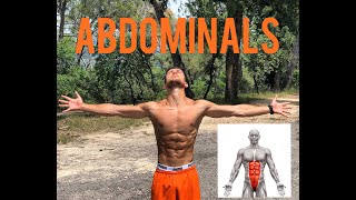 HOME AB WORKOUT (FOR BEGGINERS) ┃ (تمرين عضلات البطن في المنزل (للمبتدئين