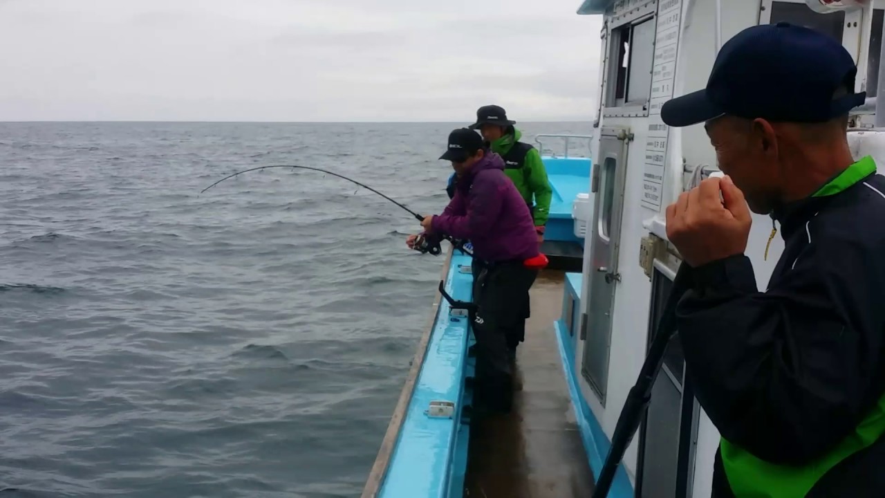 オホーツク鰤オヒョウ 16kg 釣り Youtube