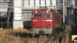 JR貨物 　ED76 1021形機関車が牽引する。　和泉屋踏切   撮影日2022 12 26