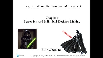 Organizational Behavior (Robbins and Judge) Chapter 06 -- Perception and Individual Decision Making