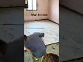 fharshi kaisa hai #tiles #viralvideo #ghar #construction