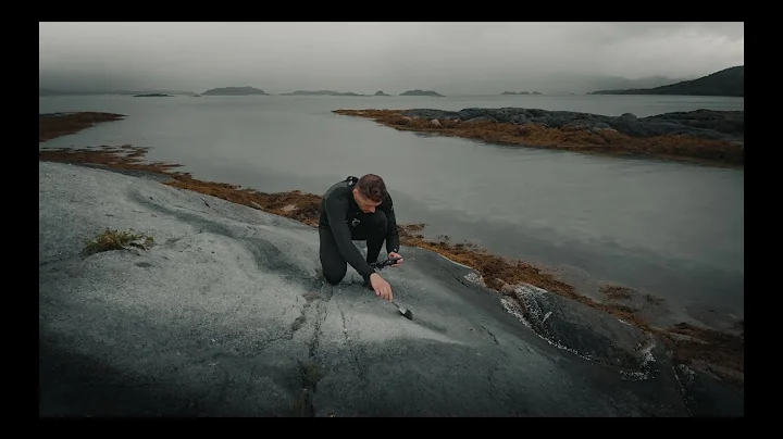 Painting a washable mural in Norway | "Inceptus" S...