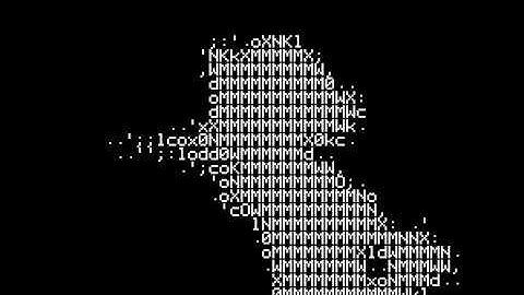 Bad apple - Oric Atmos - text mode dithering  / turbo tape  / frames 5258