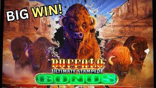 We Won HUGE on My FAVORITE Buffalo Slot | Buffalo Ultimate Stampede