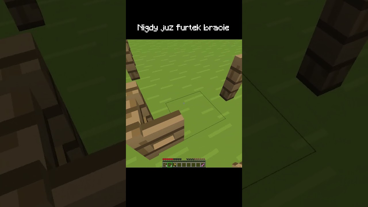 Nigdy już furtek w Minecraft  #minecraft
