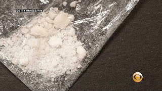 Fort Lauderdale Tops Florida Cities In Number Of Fentanyl-Related Deaths