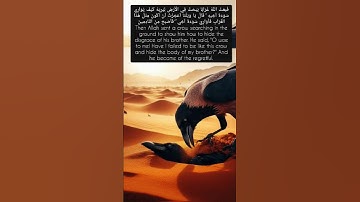 فبعث الله غرابا يبحث في الأرض ليريه كيف يواري سوأة أخيه / سورة المائده / surah Al-Ma'idah / Quran