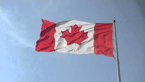 The flag flapping instability