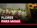 Día de la Madre: así están los precios de los arreglos florales