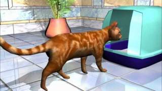 How cats become infected with feline coronavirus, the virus which causes FIP How cats become infected with feline coronavirus, the virus which causes FIP