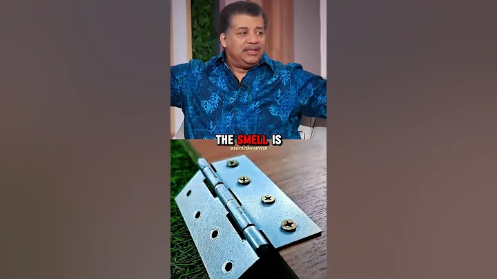 Penguin land 🐧 w/ Neil deGrasse Tyson