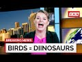 Dinosaurs Were Technically Birds | No Laugh Newsroom