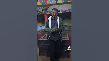 ناشونال جيوغرافيك منصور تقدم تمساح النيل في البيت النوبي غرب سهيل اسوان مصر Cocodrilo River Nile 