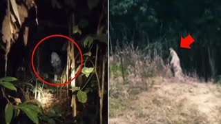 Scary! Kuntilanak in the Bushes - Pocong Before Maghrib | 11 Real Ghost Appearances That Will Mak...