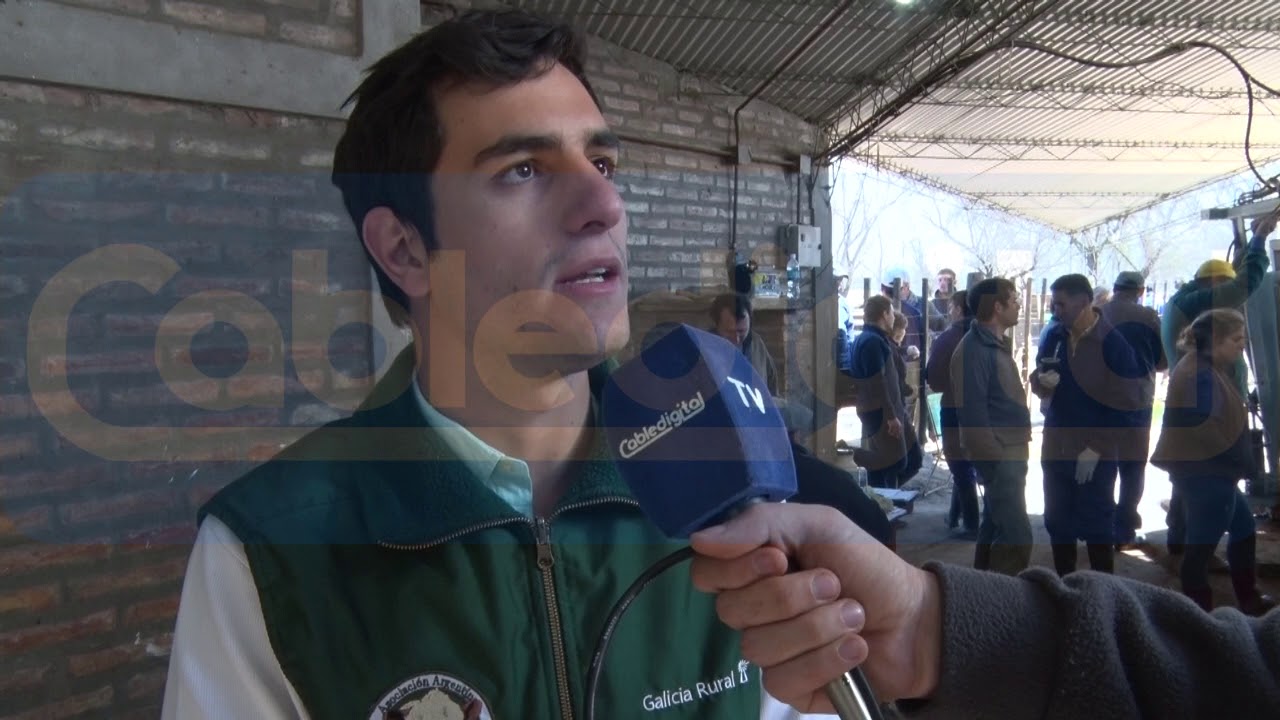 ING JUAN CRUZ VERA ASOC ARGENTINA CRIADEROS DE HEREFORD huinca renaco