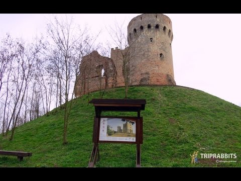 Medieval town of Erdut (Erdut)