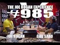 Joe Rogan Experience #985 - Gad Saad