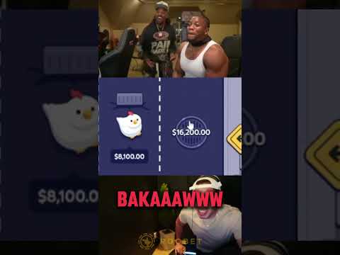 Igra Chicken cross Road - Igranje v igralnici online za Slovenijo