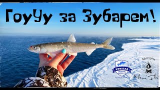 Охотское море,о.Сахалин/ Okhotsk sea, i.Sakhalin