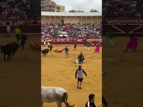 Vídeo: Impresionante giro mortal sobre una vaca en Tudela 30-7-25