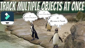 Motion Track Multiple Objects at Once in Filmora