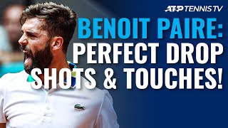 33 PERFECT Benoit Paire Drop Shots & Touches! 😍