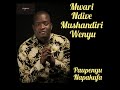 HOYO MUSHANDIRI (LYRIC VIDEO) - PASTOR TINASHE MURIGO