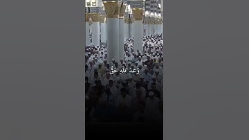ما تيسر من #سورة_لقمان، للشيخ/#عبدالله_البعيجان. #القرآن_الكريم #تلاوة_خاشعة