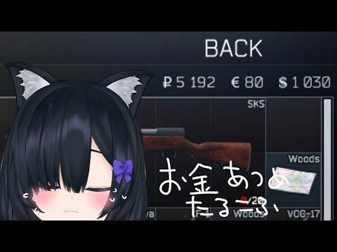 【EFT】ワイプ後早速の金欠になりました。