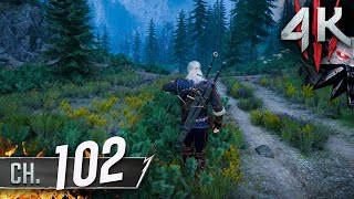 The Witcher 3: Wild Hunt [4K/60fps] (100%, Death March!) Walkthrough Part 102 - Monster Slayer